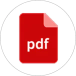 pdf icon